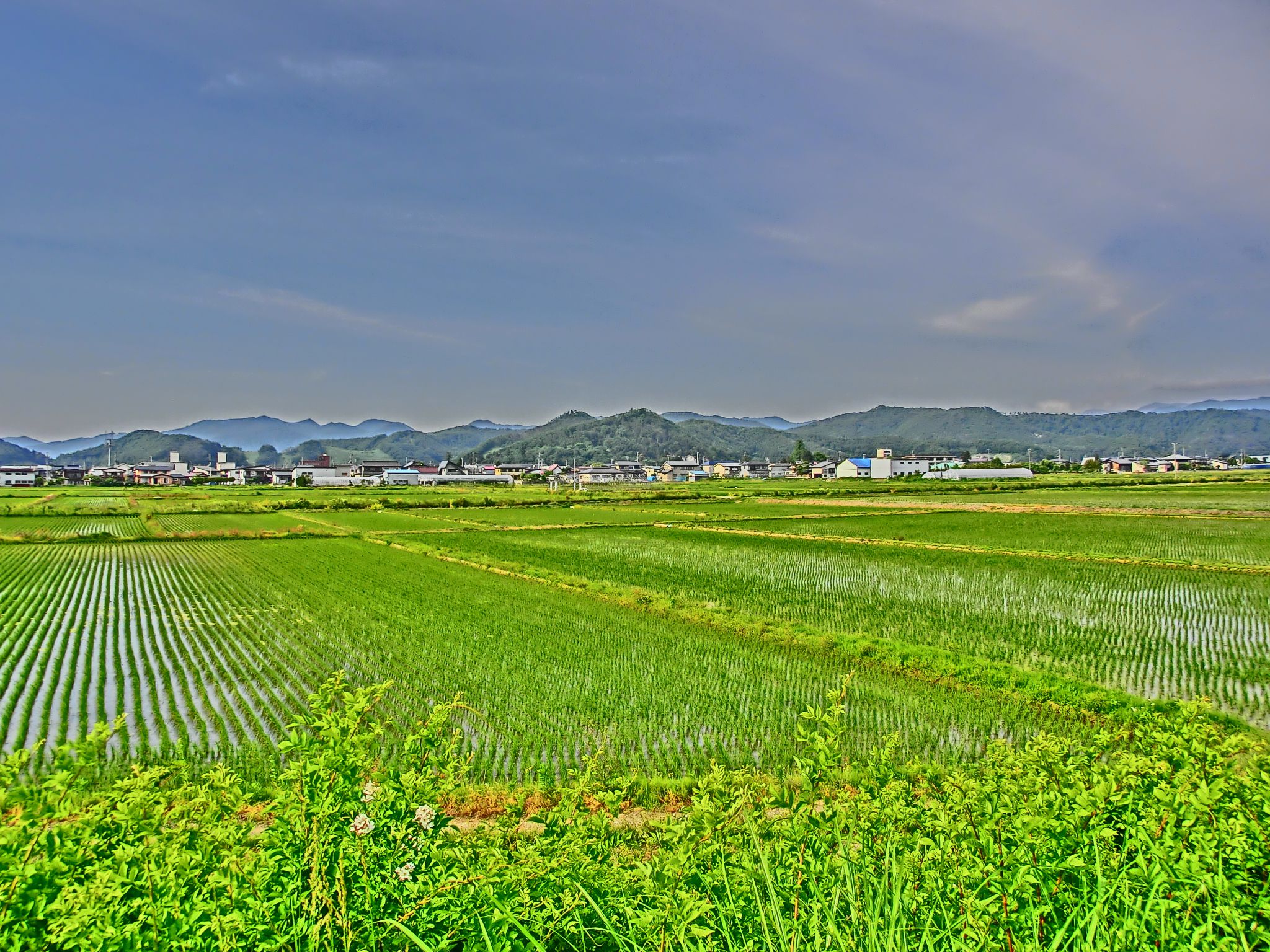 ◆高畠の田園も----　　＠＠＠