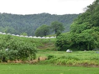 ◆まほろばらしい風景　　　＠＠＠