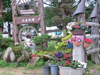 ◆土屋牧場さんの花　　　＠＠＠