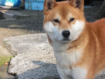 ◆訃報です。　　　＠＠＠