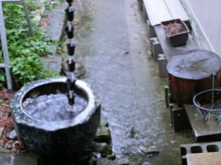 ◆今日も朝から雨　　　＠＠＠
