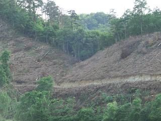 ◆鈴沼文珠山登山道入口　ほぼ決まる。　　＠＠＠
