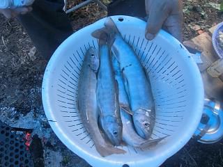 ◆山の副産物　　川編　　　＠＠＠