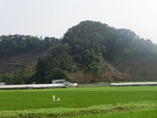 ◆現在の鈴沼の山　　　＠＠＠