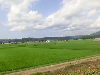◆梅雨の合間の風景　　　　　＠＠＠