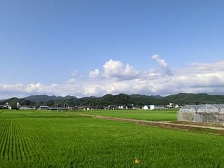 ◆たかはたの夏空　　　＠＠＠