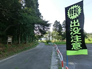 ◆熊出没　　　＠＠＠