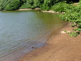 ◆鈴沼にプライベートビーチ出現　　??