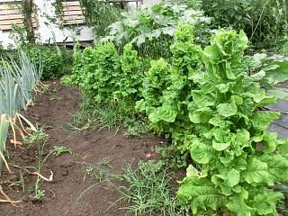 ◆今日から９月　　　＠＠＠