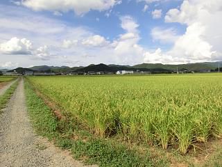 ◆秋の様相が見えてきました。　　＠＠
