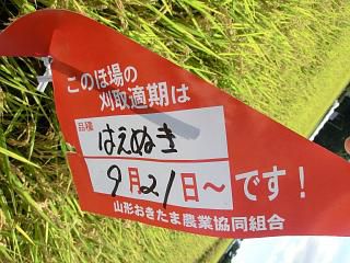 ◆田んぼにこんなものが　　　＠＠＠