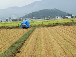 ◆稲刈りが始まりました。　　　＠＠＠