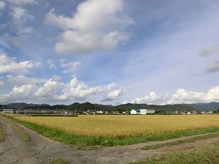 ◆本日の高畠　曇りのち晴れ　　＠＠＠
