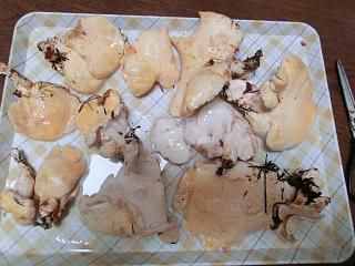 ◆台風の雨のおかげで　　　＠＠＠