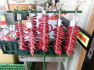 ◆南蛮のすだれ　　　＠＠