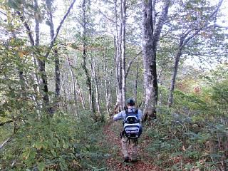 ◆駒ヶ岳民衆登山　　本駒ｶﾞ岳→　　駒ヶ岳