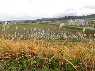 ◆まほろばの里　高畠の晩秋景色　　　＠＠＠