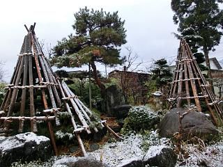 ◆ようやく庭の雪囲い終了です。