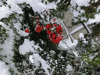 ◆今日の高畠　80%の雪マーク　　　＠＠＠