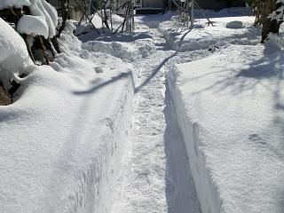 ◆本日の高畠　　　＠＠＠