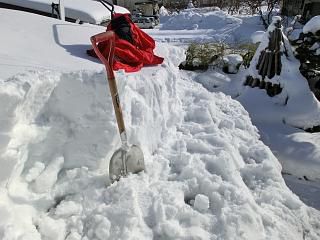 ◆本日の高畠　　　　@@@
