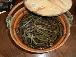 ◆我が家の山菜料理　　　＠＠＠