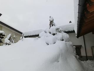 ◆本日の高畠　　　　@@@@