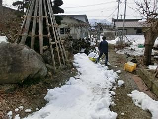 ◆本日の高畠　　　＠＠＠