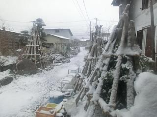◆本日の高畠　　　　＠＠＠