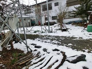 ◆季節外れの名残雪◆
