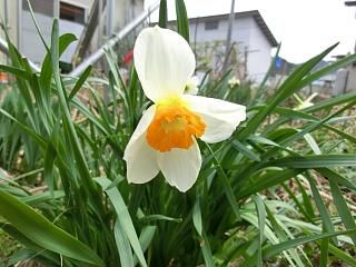 ◆本日の高畠◆
