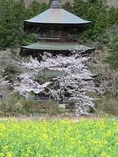 ◆本日の高畠◆