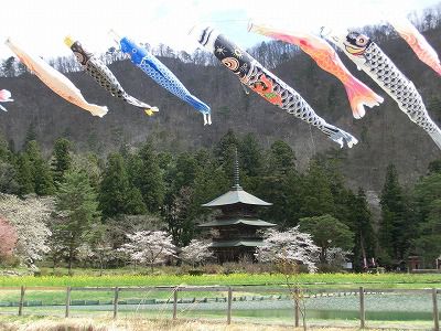◆本日の高畠◆