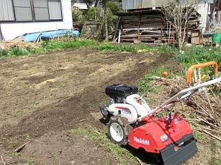 ◆家庭菜園2年生◆