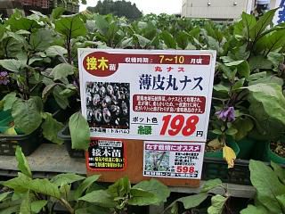 ◆今年は家庭菜園2年生◆