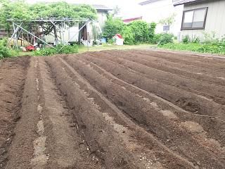 ◆６月に入りました◆