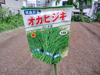◆葉物の種まき終了出す。◆