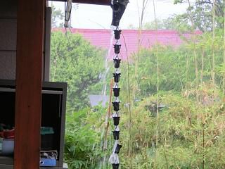 ◆待望の雨が降りました。◆