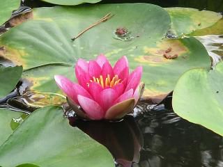 ◆本日の高畠◆