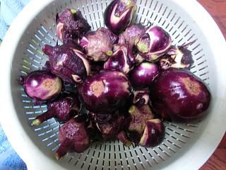 ◆今年の茄子は生きが良いです。◆