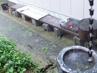 ◆大雨警報　洪水警報発令◆