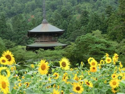 ◆高畠の歴史　　023号◆