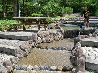 ◆ようやく真夏に　　　　◆