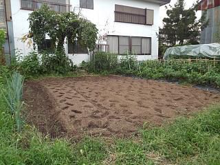 ◆秋野菜の準備です。◆