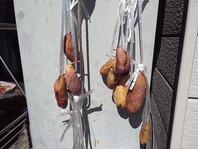 ◆アケビも保存食にします。◆