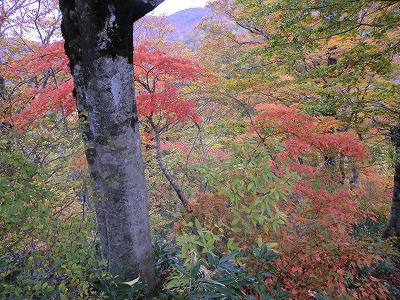 ◆山は秋盛り◆