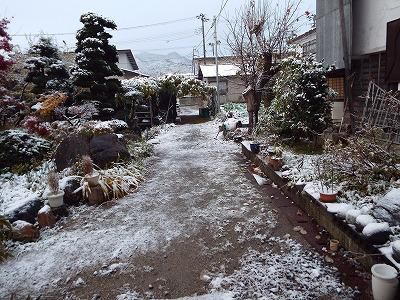 ◆初冠雪です。◆