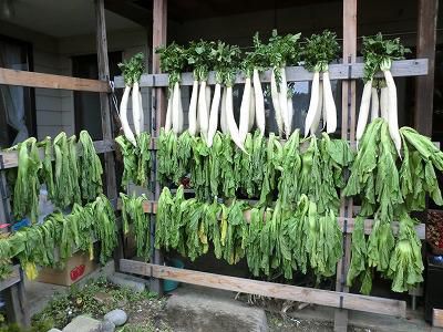 ◆冬支度が進んでいます。◆