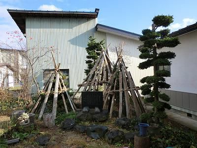 ◆雪囲い終了です。◆