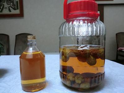 ◆自家製梅酒が飲みごろです。◆